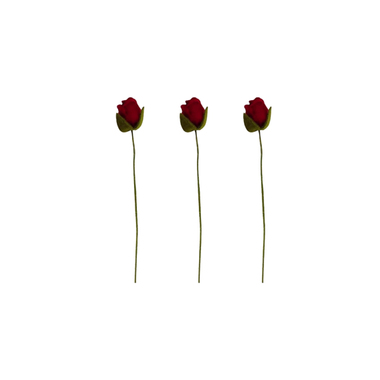 Branches de Roses rouges