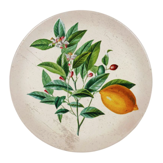 Dessous de plat Botanique Ø20 - Comptoir de Famille