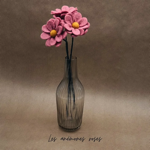 Branche d'Anémones roses