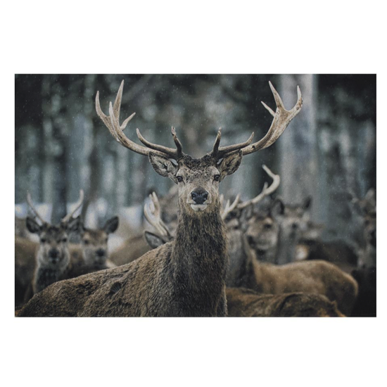 Paillasson Cerf en hiver