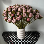 Branche de Roses