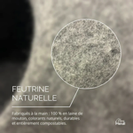 Branche d'Eucalyptus blanc