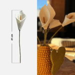 Branche de fleur d'Arum