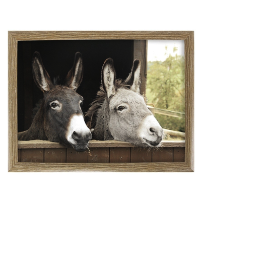 Plateau de genoux 2 ânes 