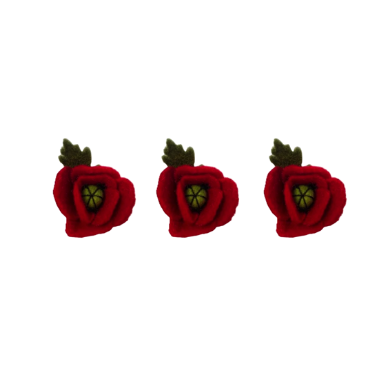 Branche de coquelicots