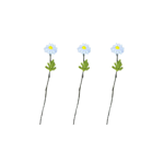 Branche de Marguerite