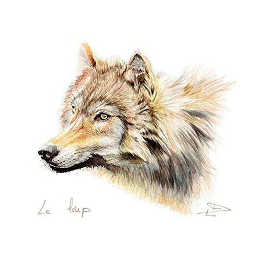 DF005 Toile sur châssis 38x55 cm D.FRAISSINET Le Loup
