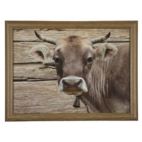 Plateau de genoux vache suisse