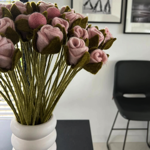 Branche de Roses