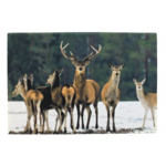 Paillasson neige troupeau deer