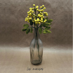 Branche de fleurs de mimosas