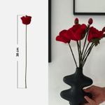Branche de coquelicots