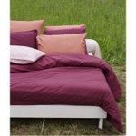 Taie d'oreiller percale lavée Prune - Sylvie Thiriez