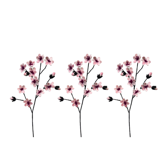 Branche de fleurs de cerisier