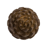 Bouton de porte - Pomme de pin