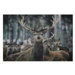 Paillasson Cerf en hiver 75x50
