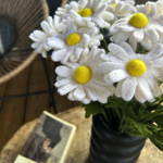 Branche de Marguerite