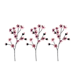 Branche de fleurs de cerisier