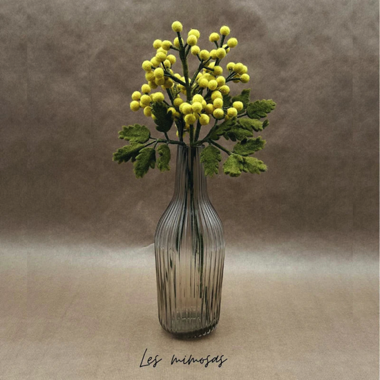 Branche de fleurs de mimosas