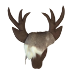 Troph�e su�dine Cerf PortoBello 70 x 60 cm - Maison Yak