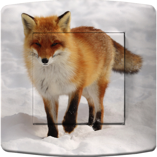Prise A52 - Renard 