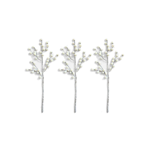 Branches claires de baies blanches