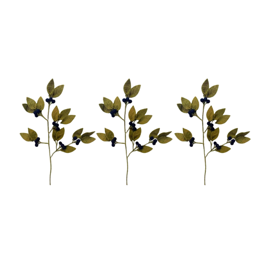 Branche de Myrtilles