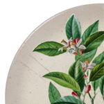 Dessous de plat Botanique Ø20 - Comptoir de Famille