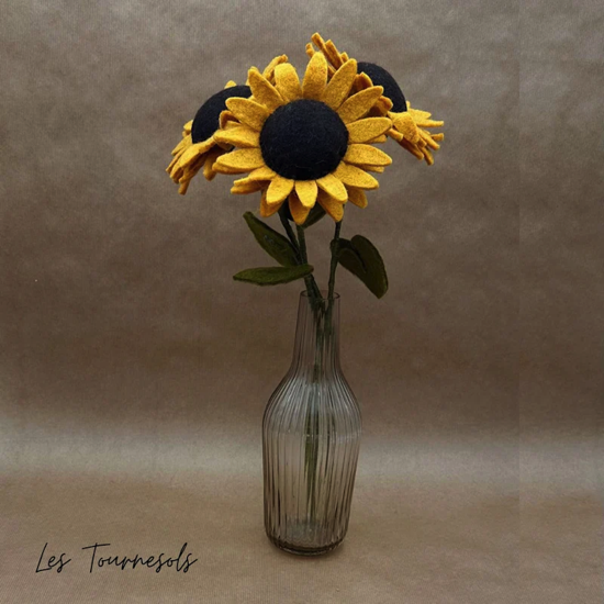 Branche de Tournesol