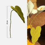 Branche de feuille d'Arum