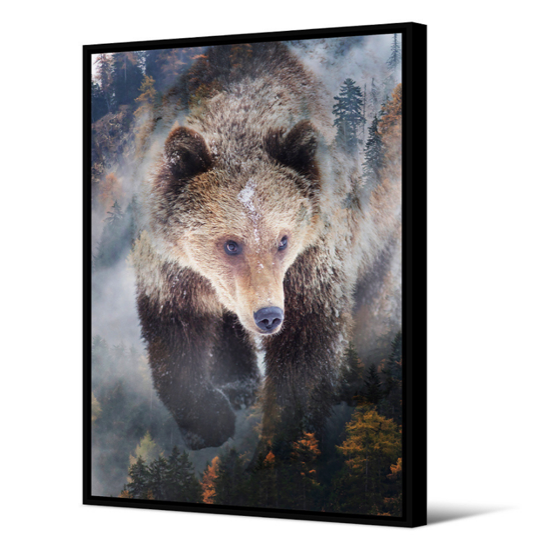 Toile CA noir Ours Kaya 65x92,5 TOIR 73969