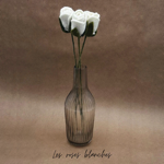 Branche de Roses blanches