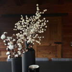Branches claires de baies blanches