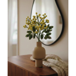 Branche de fleurs de mimosas