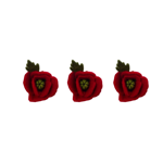 Branche de coquelicots