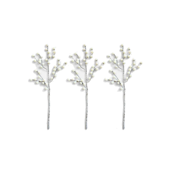 Branches claires de baies blanches