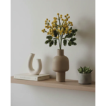 Branche de fleurs de mimosas