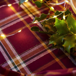 Serviette de table Forêt enchantée carreaux - Sylvie Thiriez