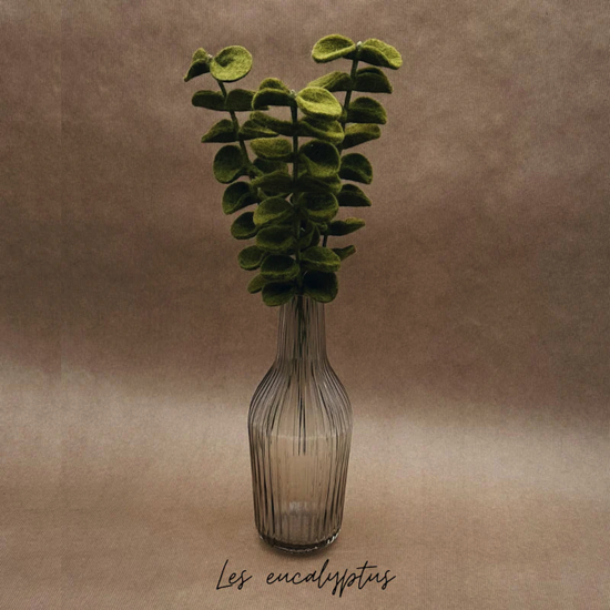 Branche d'Eucalyptus vert