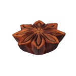 Bouton de porte - Anis étoilé