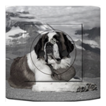 Prise A53 - Saint Bernard