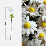 Branche de Marguerite