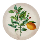 Dessous de plat Botanique Ø20 - Comptoir de Famille