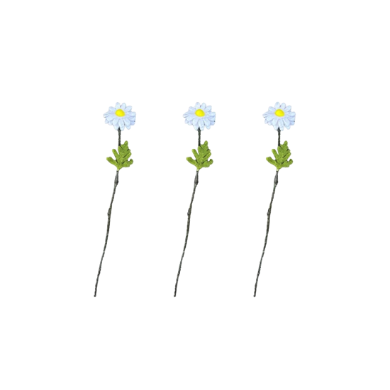 Branche de Marguerite